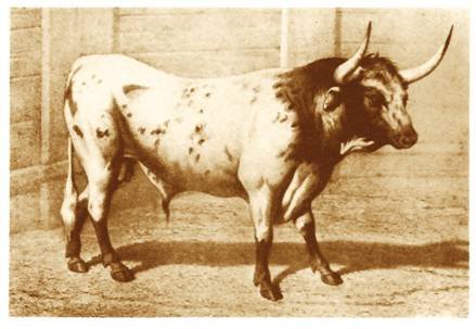 image016.jpg